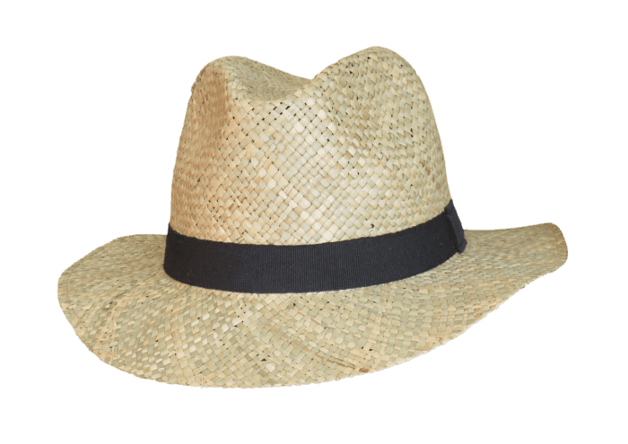 Wide-Brimmed Hats