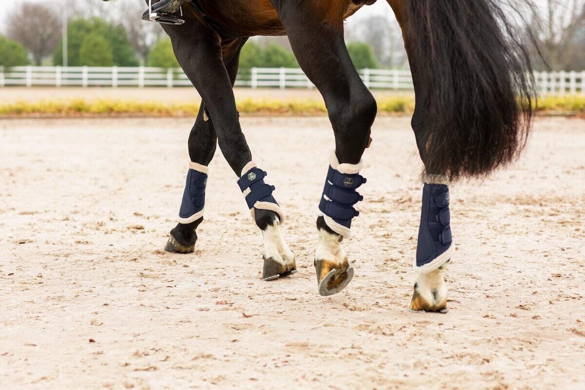 Why Horse Boots are Essential